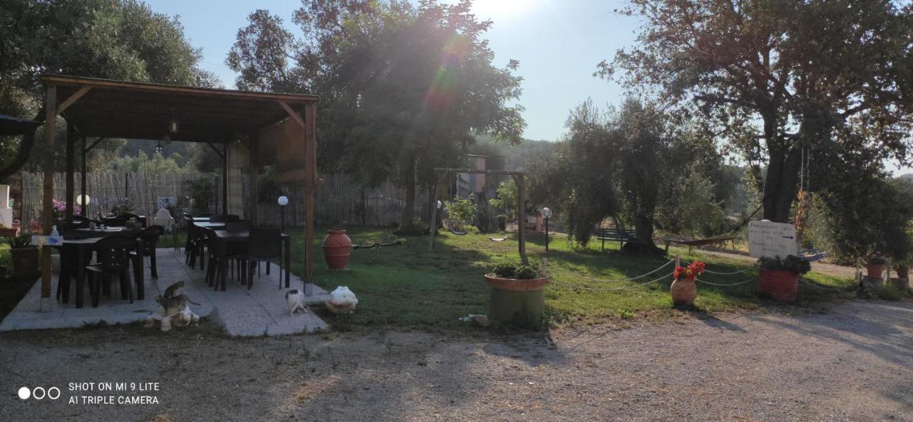 Agriturismo Poggio All'Olivo Follonica Dış mekan fotoğraf