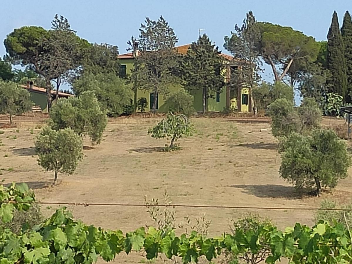 Agriturismo Poggio All'Olivo Follonica Dış mekan fotoğraf