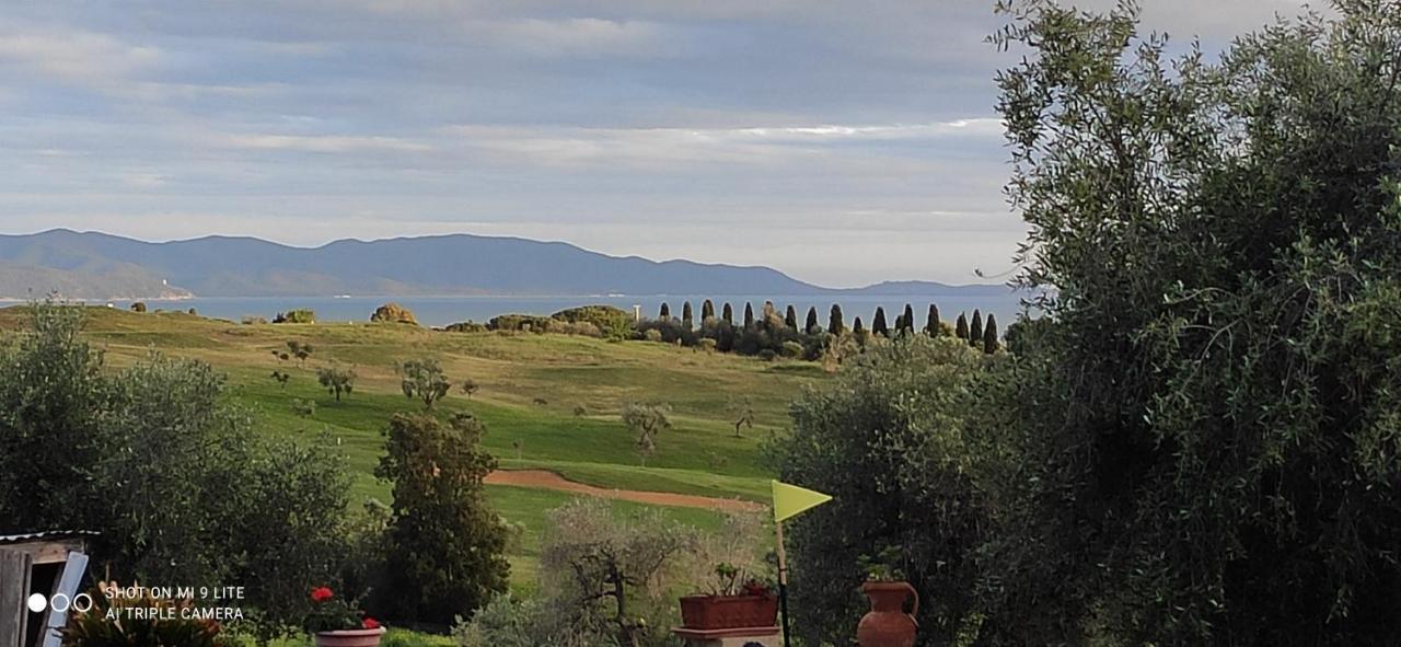 Agriturismo Poggio All'Olivo Follonica Dış mekan fotoğraf