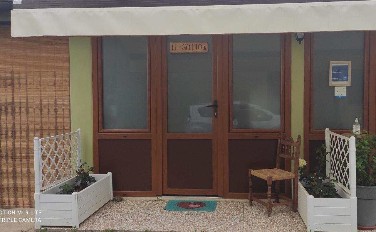 Agriturismo Poggio All'Olivo Follonica Dış mekan fotoğraf