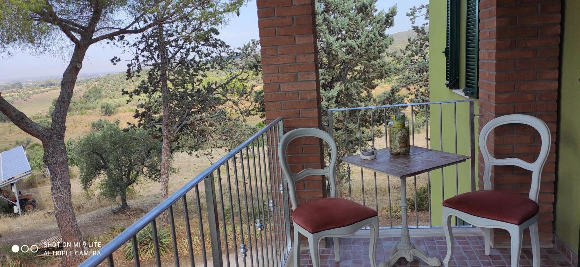 Agriturismo Poggio All'Olivo Follonica Oda fotoğraf