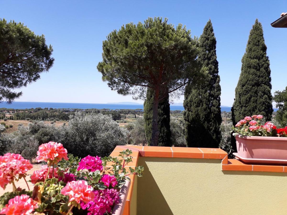 Agriturismo Poggio All'Olivo Follonica Dış mekan fotoğraf