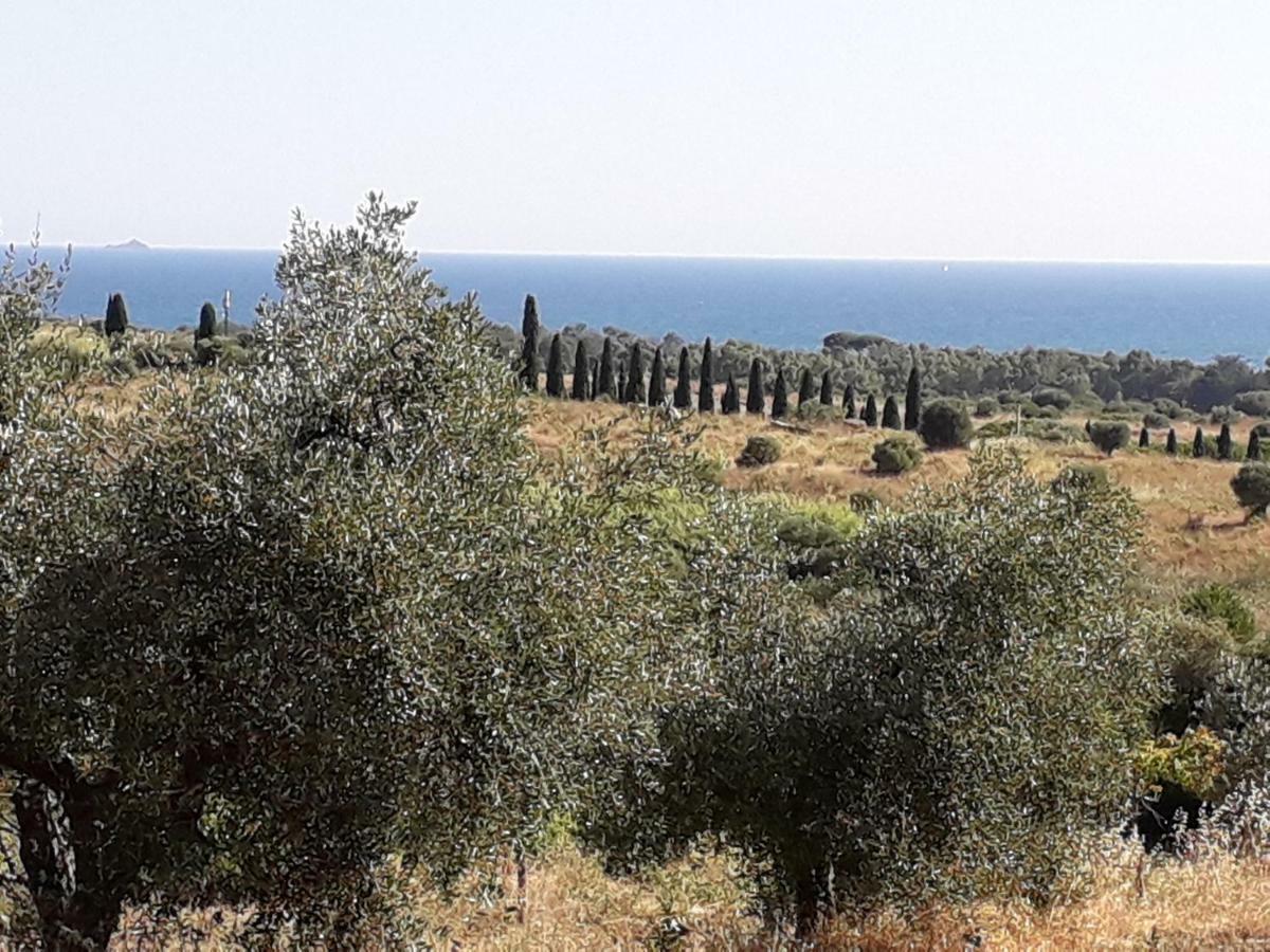 Agriturismo Poggio All'Olivo Follonica Dış mekan fotoğraf